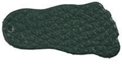 Bullhide Color - Teal
